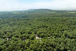 139 Maple Ave, Mount Jackson, VA 22842 - Photo 44