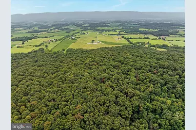 254 Carte Lane, Mount Jackson, VA 22842 - Photo 68