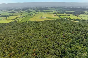 254 Carte Ln, Mount Jackson, VA 22842 - Photo 68