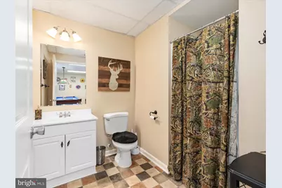 254 Carte Lane, Mount Jackson, VA 22842 - Photo 30