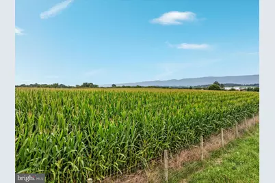 254 Carte Lane, Mount Jackson, VA 22842 - Photo 72