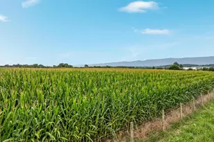 254 Carte Ln, Mount Jackson, VA 22842 - Photo 72