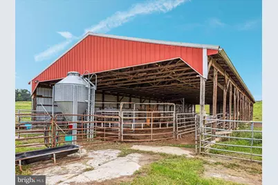 254 Carte Lane, Mount Jackson, VA 22842 - Photo 56