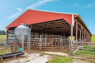 254 Carte Ln, Mount Jackson, VA 22842 - Photo 56