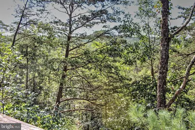 198 Hoods Point Road, Basye, VA 22810 - Photo 22