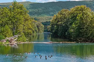 256 Cliffside Dr, Edinburg, VA 22824 - Photo 94