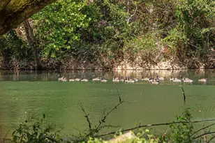 256 Cliffside Dr, Edinburg, VA 22824 - Photo 92