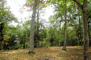 17 Davis Ct, Basye, VA 22810 - Photo 18