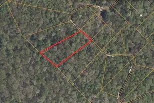 Lot 17 Lake Dr, New Market, VA 22844 - Photo 1
