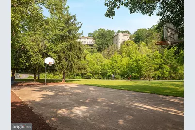 268 Dogwood Drive, Mount Jackson, VA 22842 - Photo 126