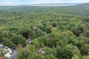 268 Dogwood Dr, Mount Jackson, VA 22842 - Photo 114