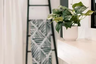 268 Dogwood Dr, Mount Jackson, VA 22842 - Photo 46