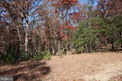 Front Royal Road, Strasburg, VA 22657 - Photo 6