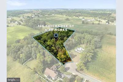 126 Chickadee Court, Woodstock, VA 22664 - Photo 64