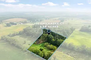 126 Chickadee Ct, Woodstock, VA 22664 - Photo 62