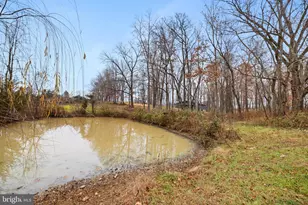 126 Chickadee Ct, Woodstock, VA 22664 - Photo 78