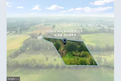 126 Chickadee Court, Woodstock, VA 22664 - Photo 62