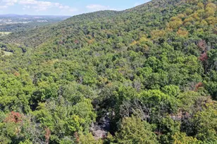 570 Cedar Rd, Strasburg, VA 22657 - Photo 36