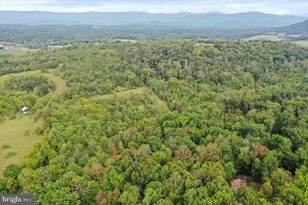 2726 Cave Ridge Rd, Mount Jackson, VA 22842 - Photo 36