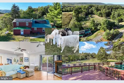 100 Wolfs Lane, Fort Valley, VA 22652 - Photo 6