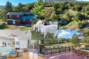 100 Wolfs Ln, Fort Valley, VA 22652 - Photo 6