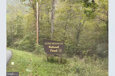 100 Wolfs Lane, Fort Valley, VA 22652 - Photo 24