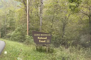 100 Wolfs Ln, Fort Valley, VA 22652 - Photo 24