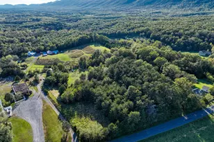 100 Wolfs Ln, Fort Valley, VA 22652 - Photo 34