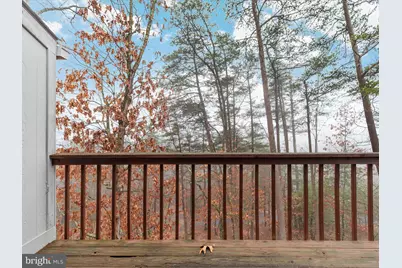 452 Spitz, Basye, VA 22810 - Photo 22