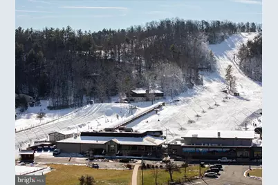 452 Spitz, Basye, VA 22810 - Photo 48