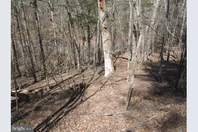 180 Spruce Lane, Mount Jackson, VA 22842 - Photo 1