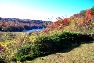 426 The Hill Rd Rd, Basye, VA 22810 - Photo 4