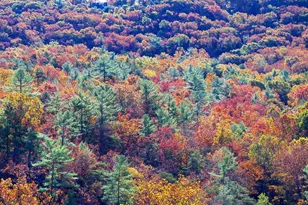 426 The Hill Rd Rd, Basye, VA 22810 - Photo 6