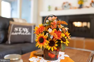 16 Spruce Hollow Rd, Basye, VA 22810 - Photo 16