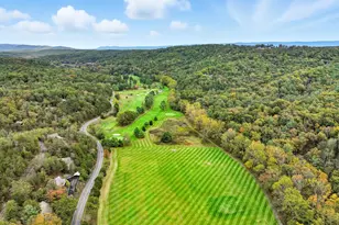 16 Spruce Hollow Rd, Basye, VA 22810 - Photo 44