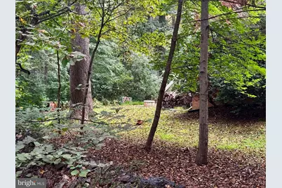 0 Mount Sinai Pointe, Fort Valley, VA 22652 - Photo 1