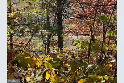 0 Brenda Lane, Basye, VA 22810 - Photo 4