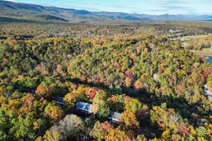 547 King St, Basye, VA 22810 - Photo 50