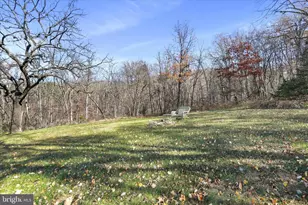 799 Stephens Ln, Fort Valley, VA 22652 - Photo 36