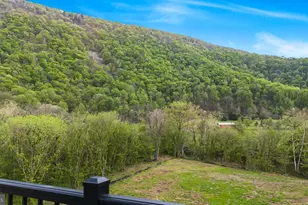 628 Black Bear Rd, Maurertown, VA 22644 - Photo 2