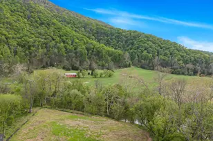 628 Black Bear Rd, Maurertown, VA 22644 - Photo 68