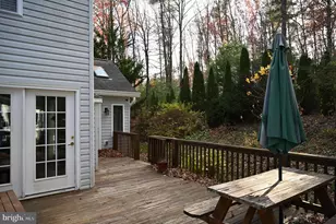 158 Redtail Ct, Basye, VA 22810 - Photo 28