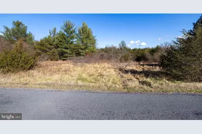 Dellinger Gap Road, Edinburg, VA 22824 - Photo 10