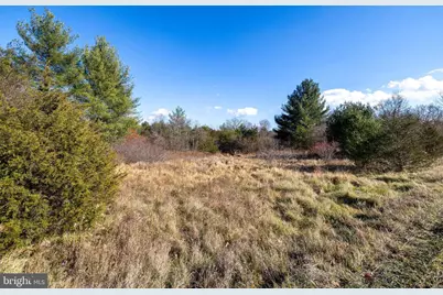 Dellinger Gap Road, Edinburg, VA 22824 - Photo 12