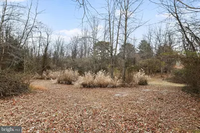 717 W Locust Street, Woodstock, VA 22664 - Photo 64