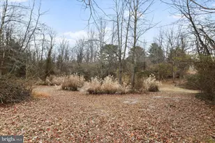 717 W Locust St, Woodstock, VA 22664 - Photo 64