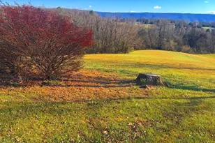 522 Manor Hill Dr, Toms Brook, VA 22660 - Photo 60