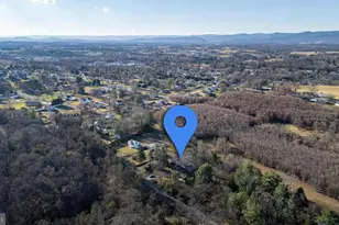 539 Lupton Rd, Woodstock, VA 22664 - Photo 62