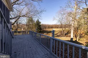 539 Lupton Rd, Woodstock, VA 22664 - Photo 46