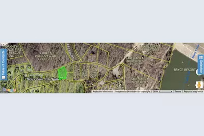 Spitz Lane, Basye, VA 22810 - Photo 4